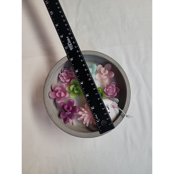 NWT Succulent Flowers Garden Candle Concrete Bowl Sincerely Jules VIRAL‎ TIKTOK - Picture 9 of 10